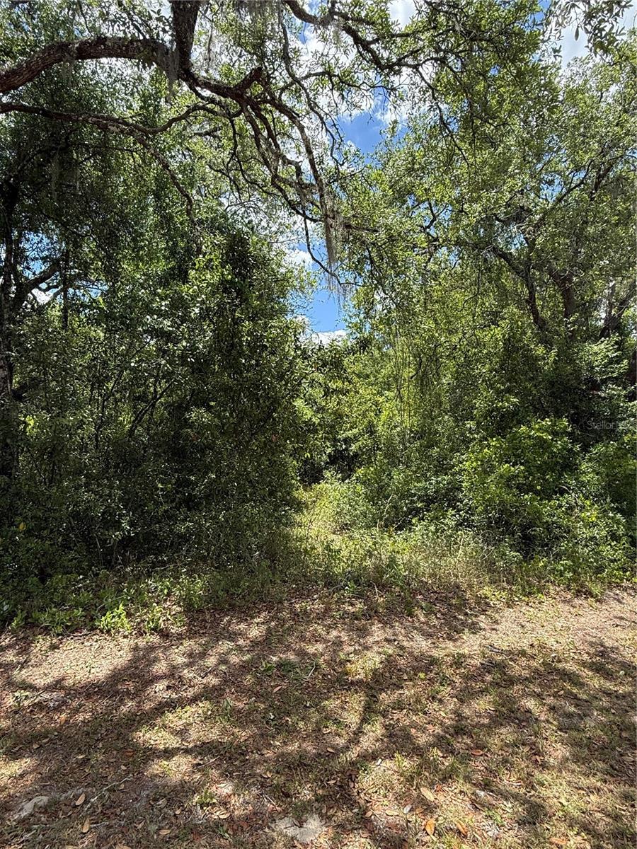 LEWIS LN, WEBSTER, FL — photo 13
