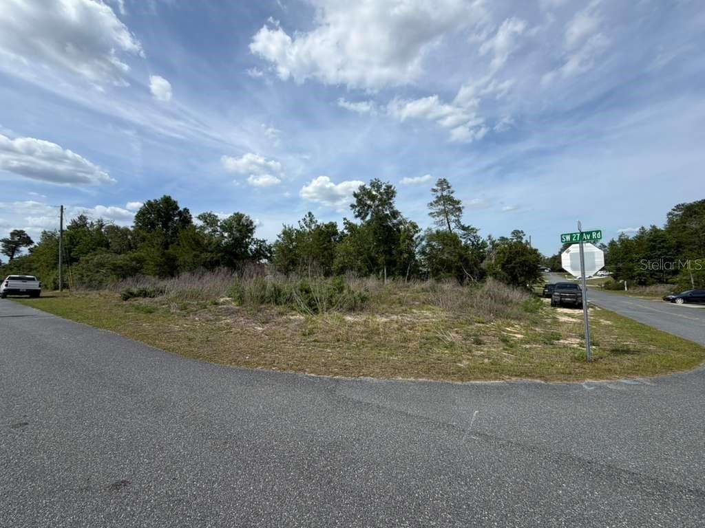 2455 SW 159TH LN, OCALA, FL