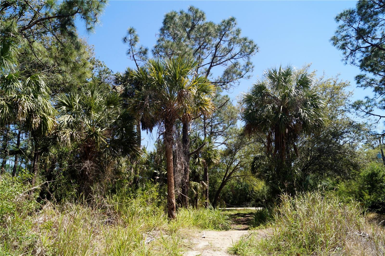 8370 CHORLEY AVE, NORTH PORT, FL — photo 3