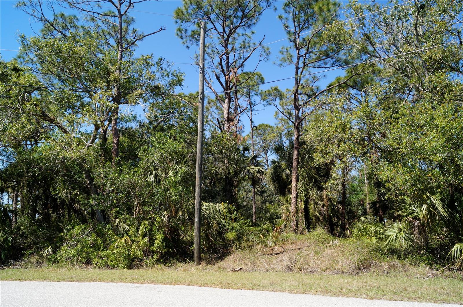 8370 CHORLEY AVE, NORTH PORT, FL — photo 4