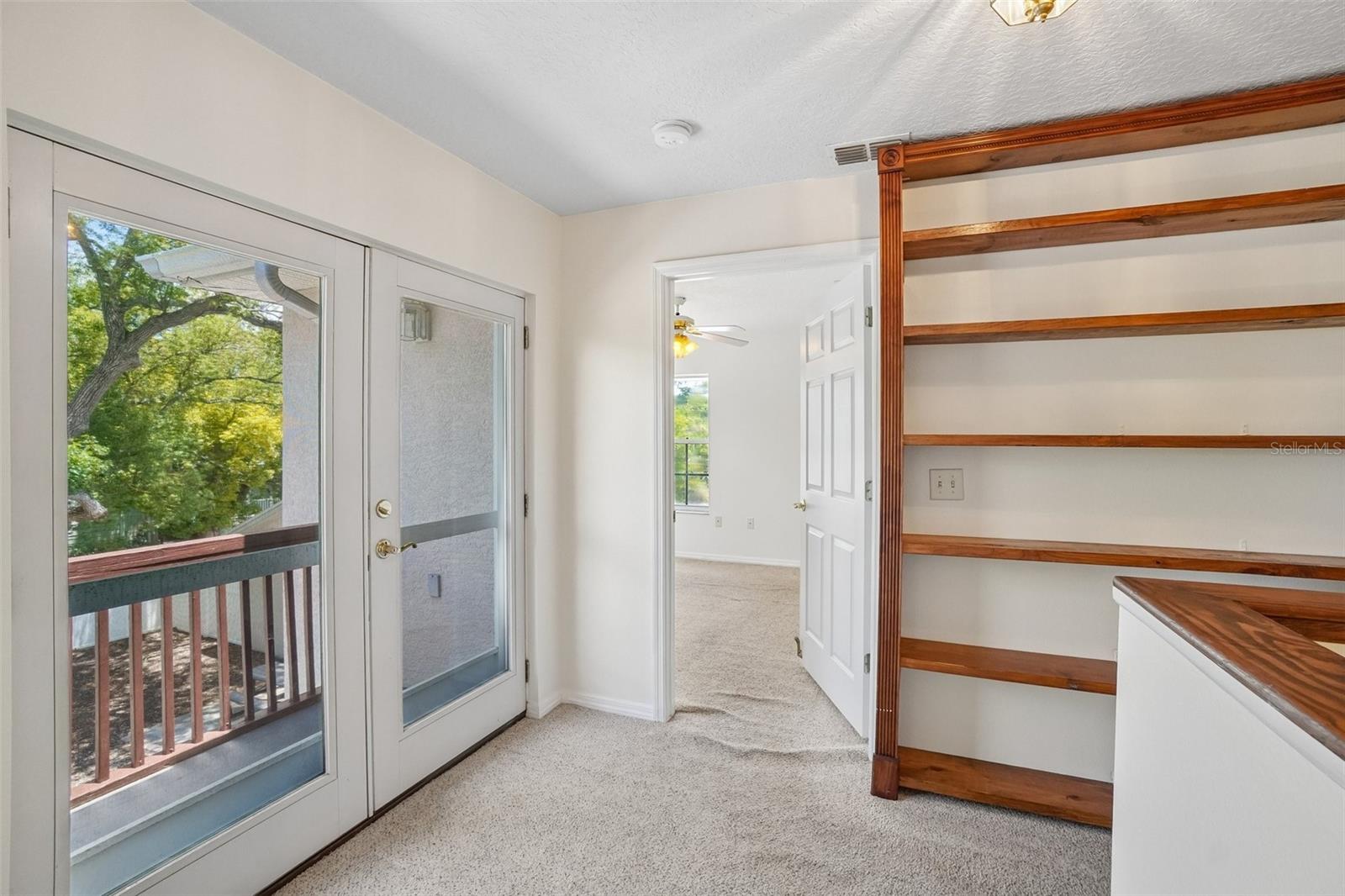 3220 COUNTY ROAD 1, DUNEDIN, FL — photo 37