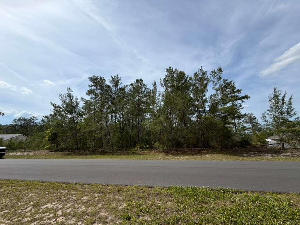 TBD SW 41ST CIR, OCALA, FL