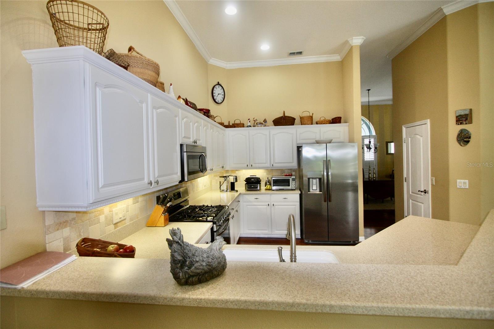 9035 LAUREL RIDGE DR, MOUNT DORA, FL — photo 20