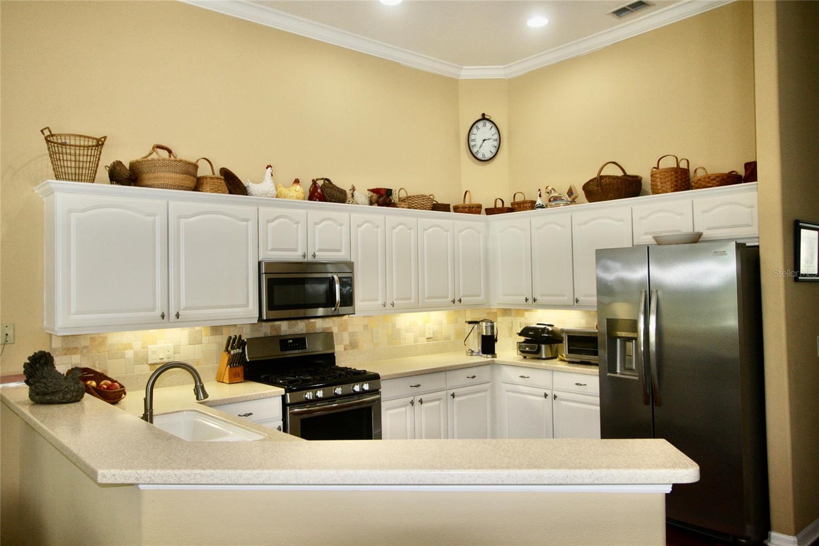 9035 LAUREL RIDGE DR, MOUNT DORA, FL — photo 25