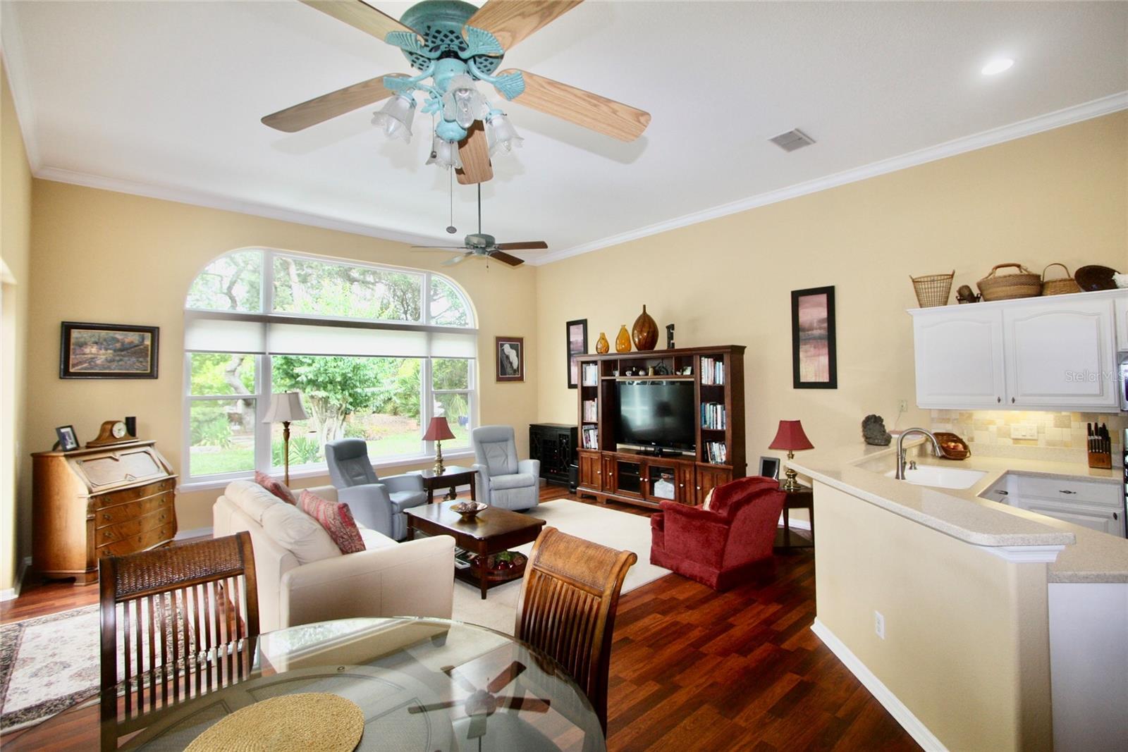 9035 LAUREL RIDGE DR, MOUNT DORA, FL — photo 38