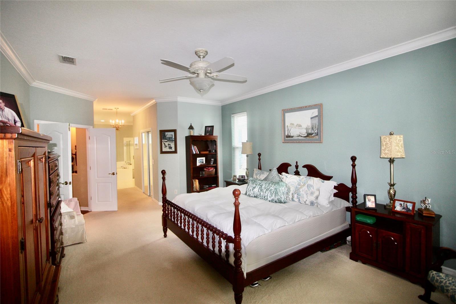 9035 LAUREL RIDGE DR, MOUNT DORA, FL — photo 46