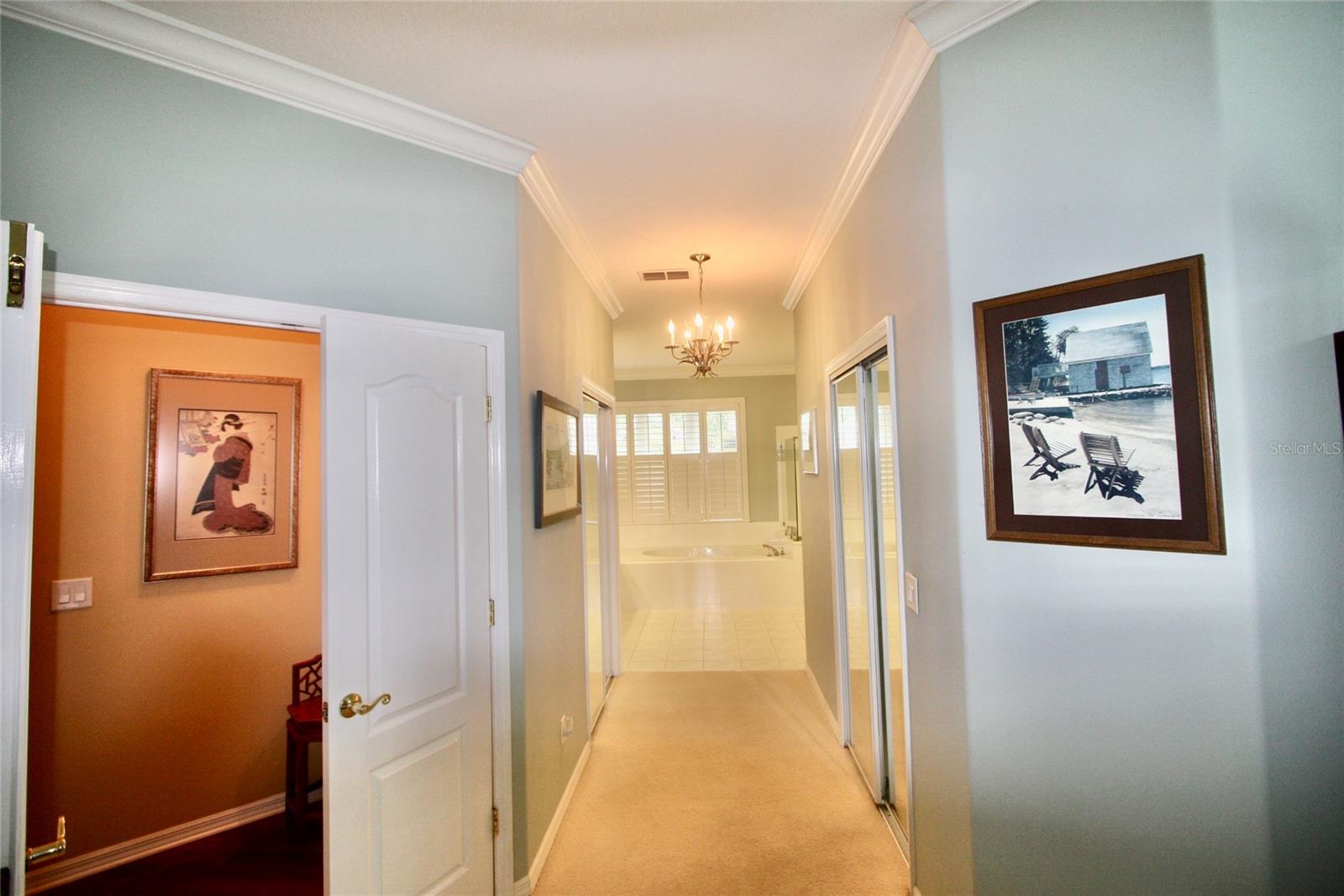 9035 LAUREL RIDGE DR, MOUNT DORA, FL — photo 53