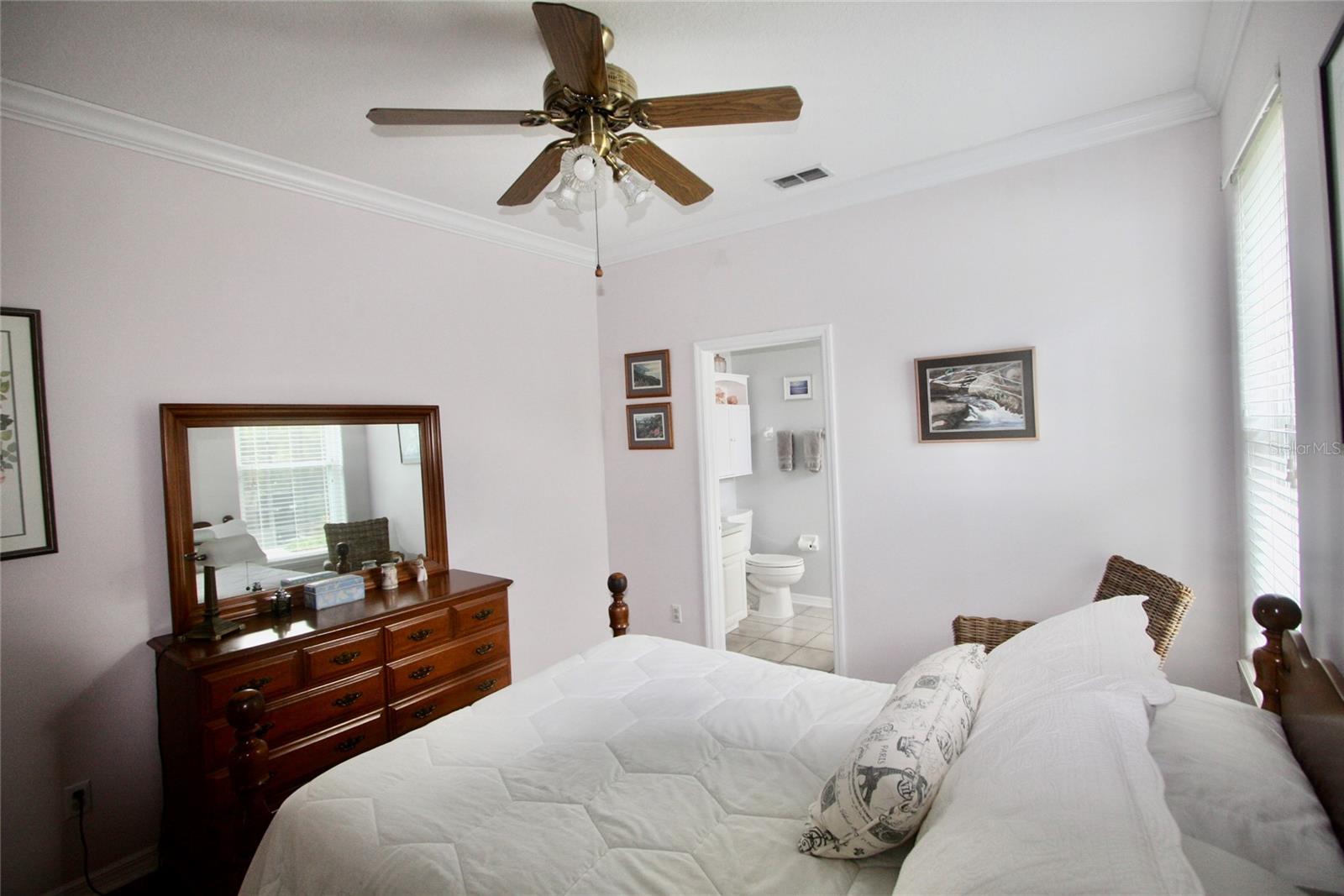 9035 LAUREL RIDGE DR, MOUNT DORA, FL — photo 71