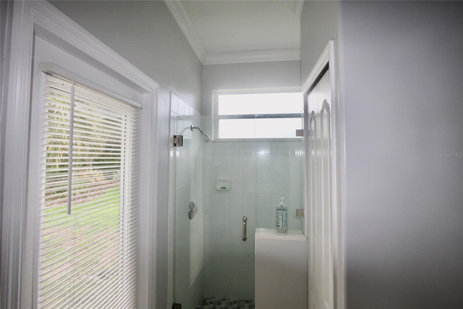 9035 LAUREL RIDGE DR, MOUNT DORA, FL — photo 78