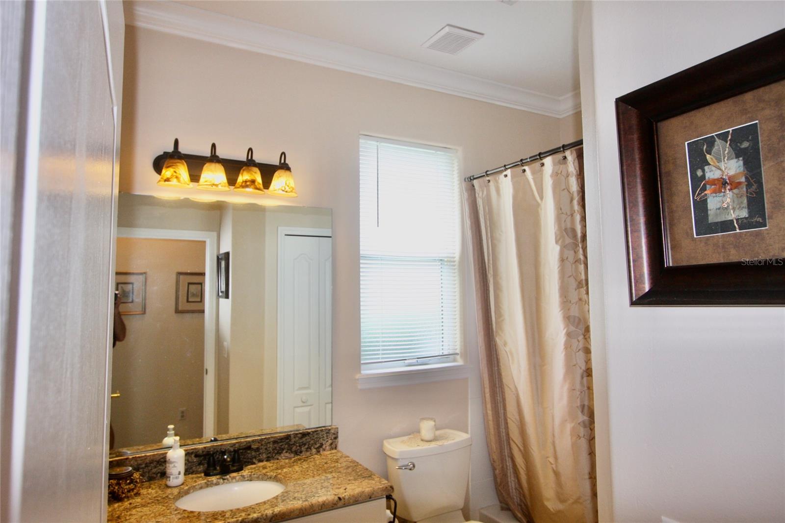 9035 LAUREL RIDGE DR, MOUNT DORA, FL — photo 79