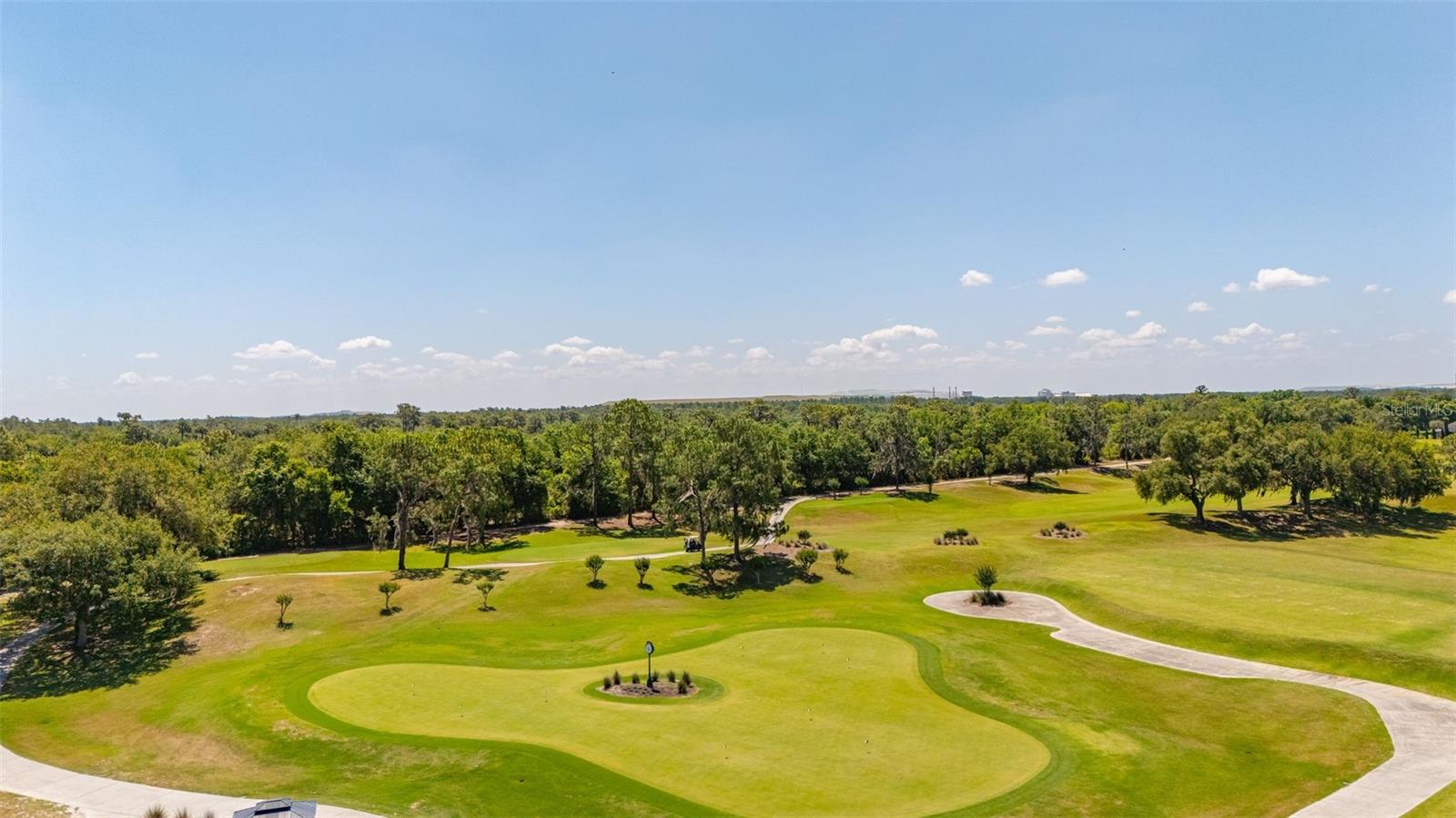 6535 EAGLE RIDGE WAY, LAKELAND, FL — photo 99