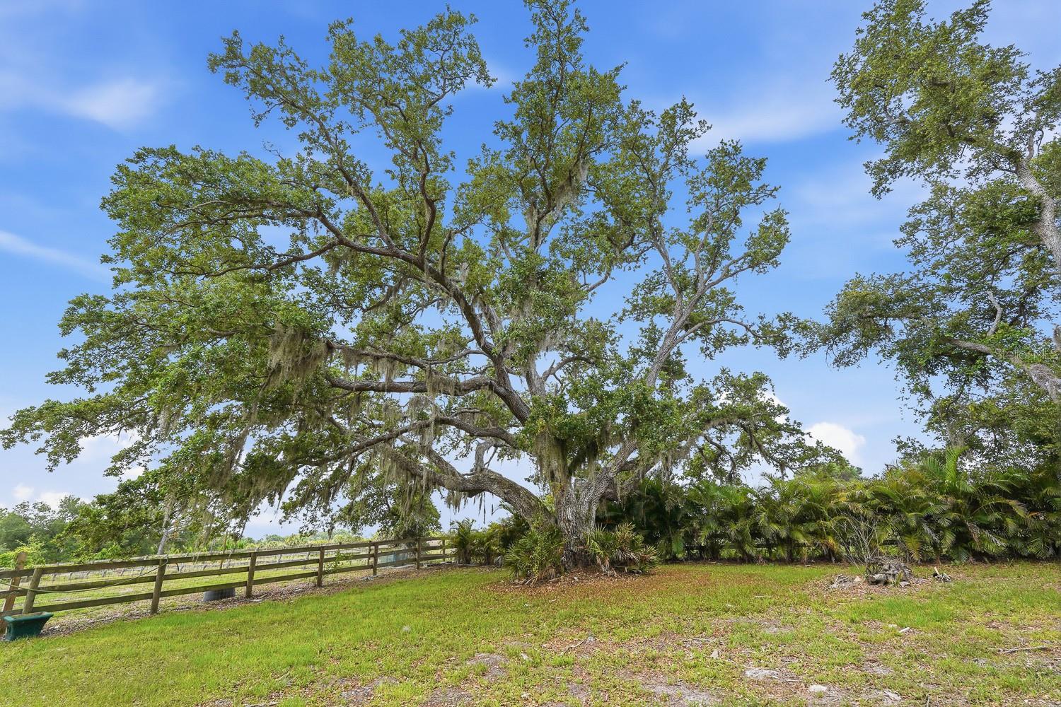 RANCH RD, NOKOMIS, FL — photo 11
