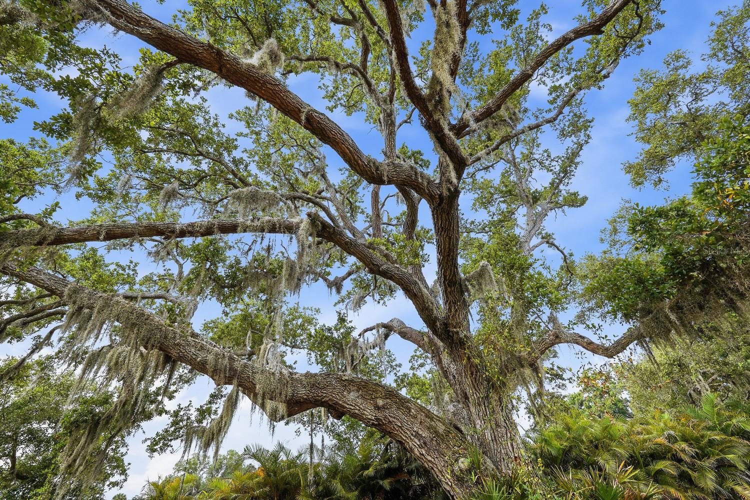 RANCH RD, NOKOMIS, FL — photo 16