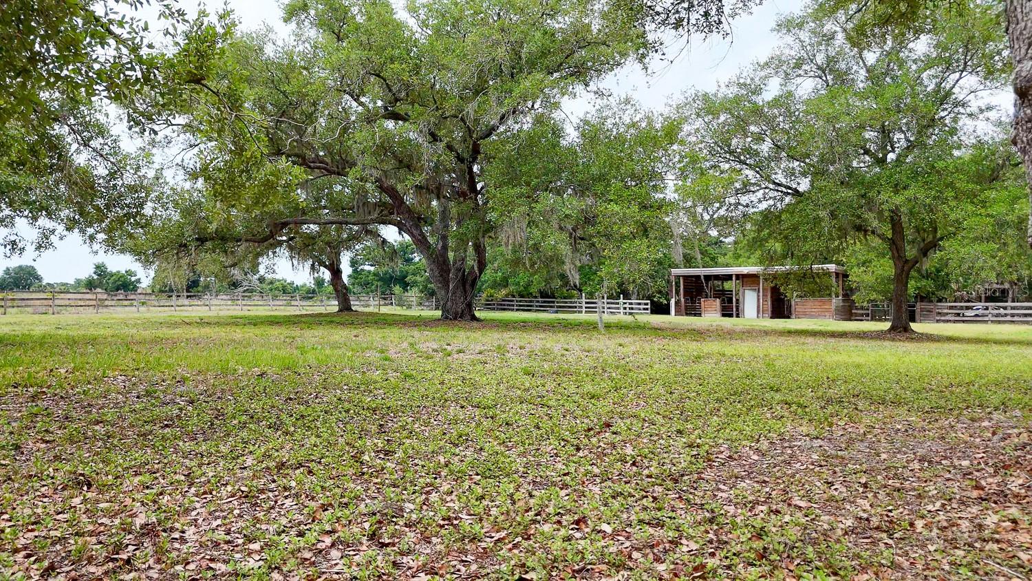 RANCH RD, NOKOMIS, FL — photo 49