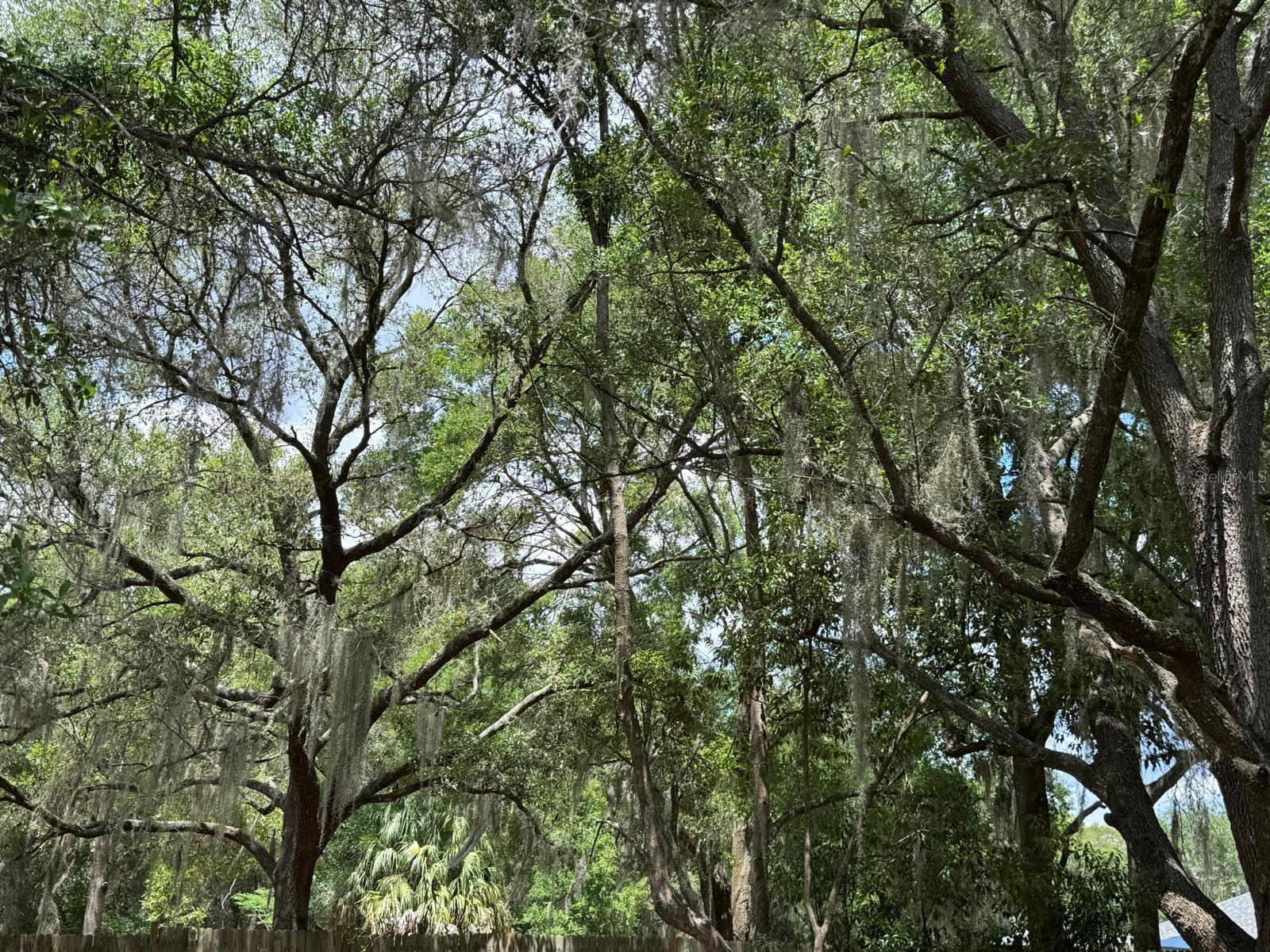 1639 SPRING LAKE RD, FRUITLAND PARK, FL — photo 47