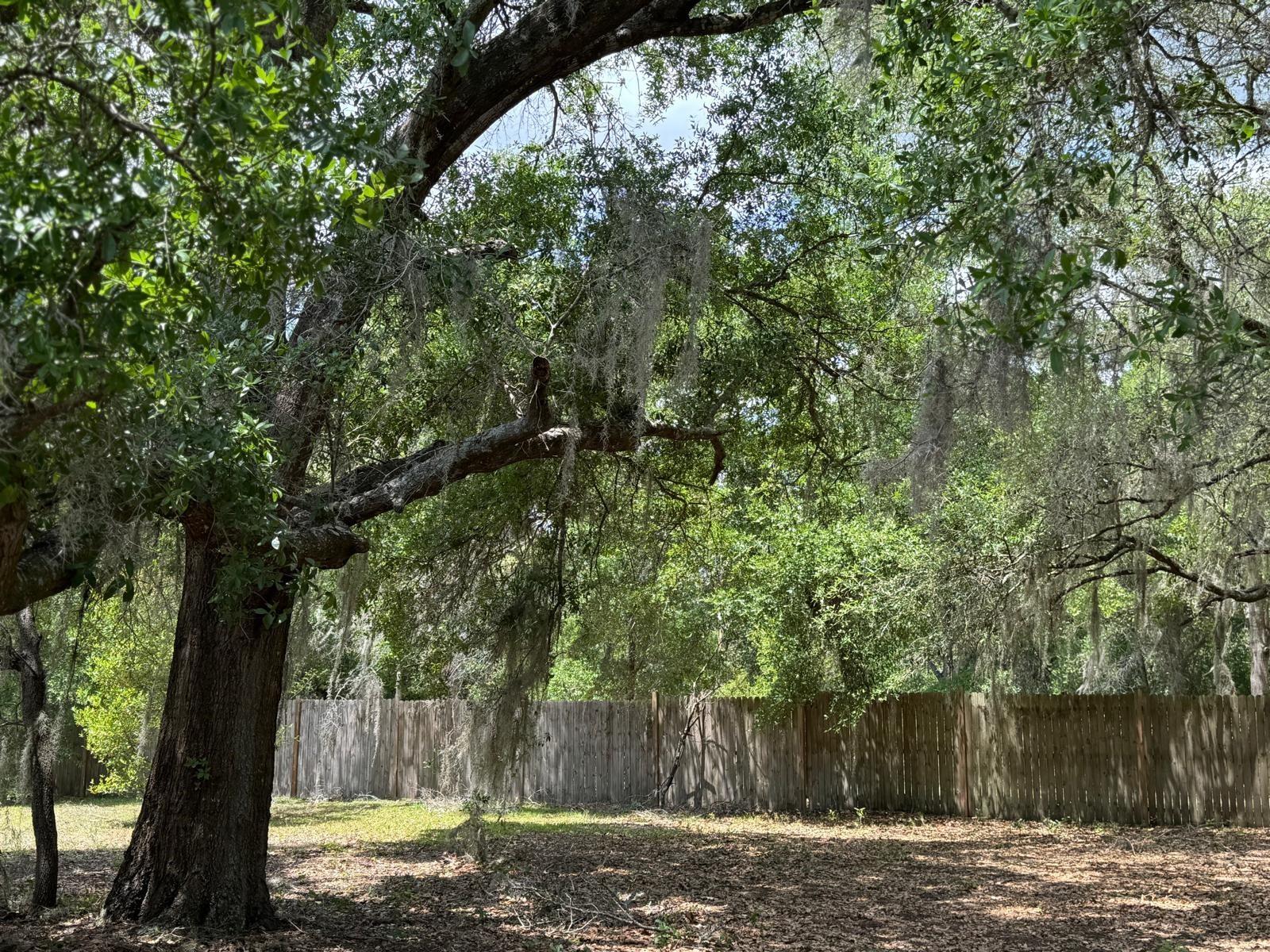 1639 SPRING LAKE RD, FRUITLAND PARK, FL — photo 49