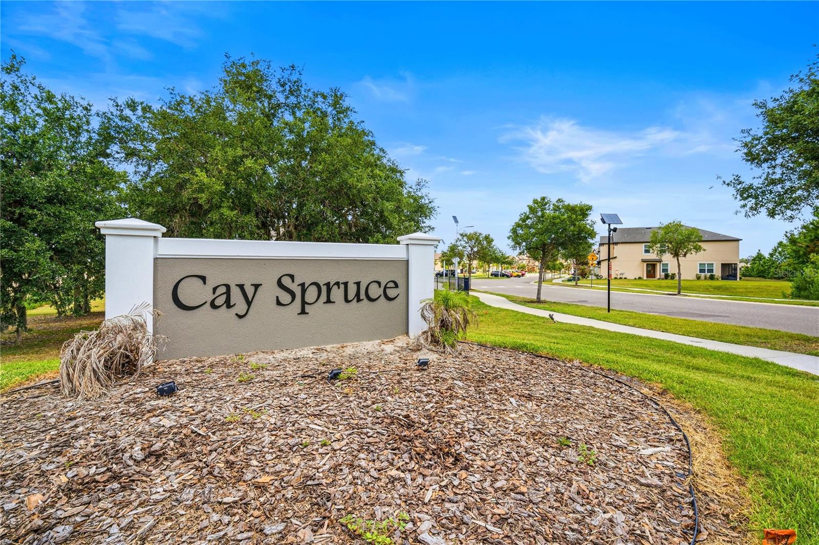 11240 CAY SPRUCE WAY, SAN ANTONIO, FL — photo 30