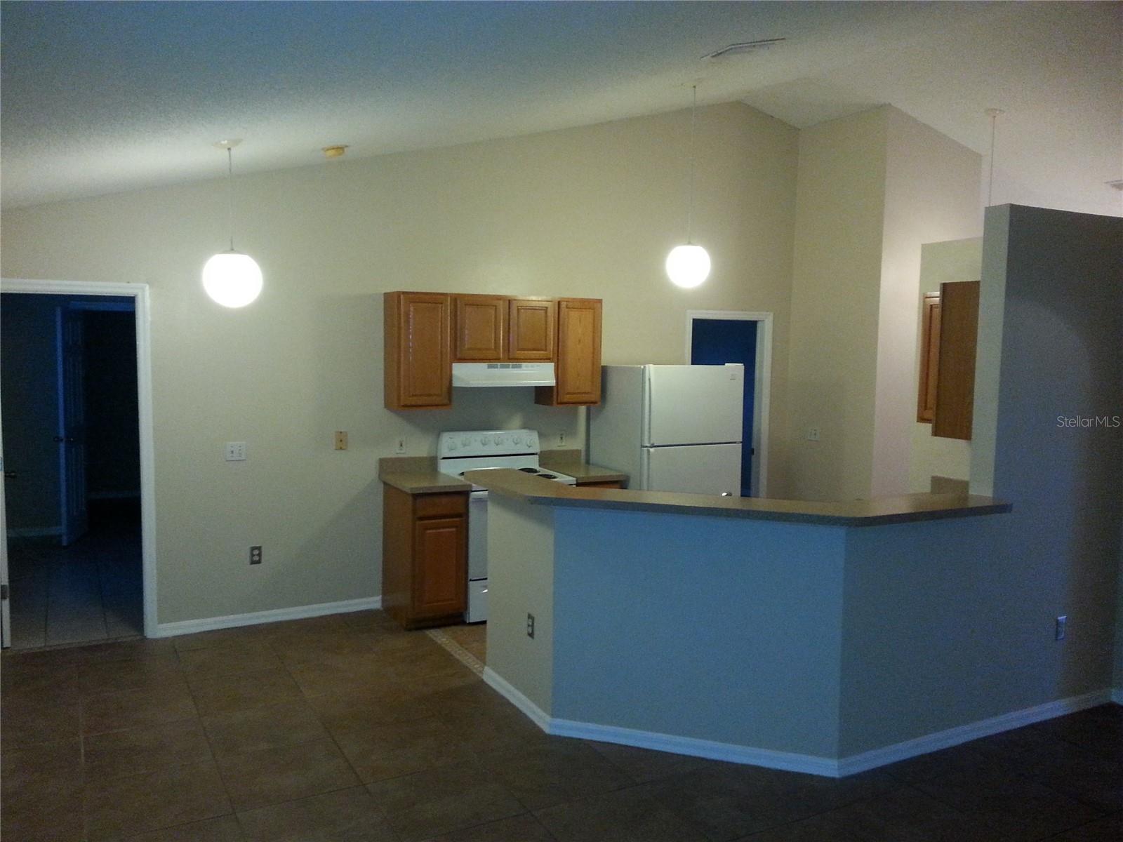 221 COBALT DR, KISSIMMEE, FL — photo 11