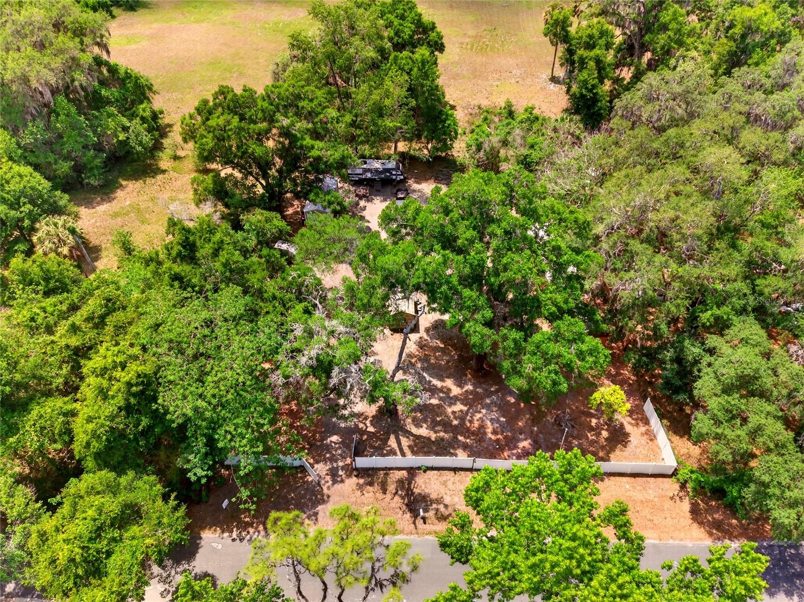 17684 NE 24TH AVE, CITRA, FL — photo 11
