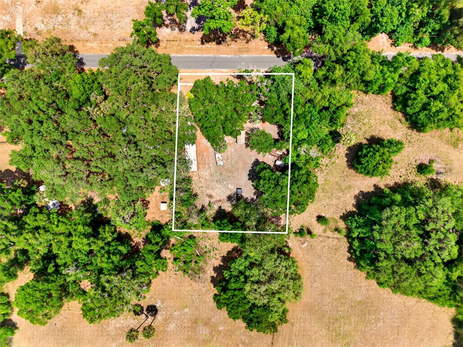17684 NE 24TH AVE, CITRA, FL — photo 15