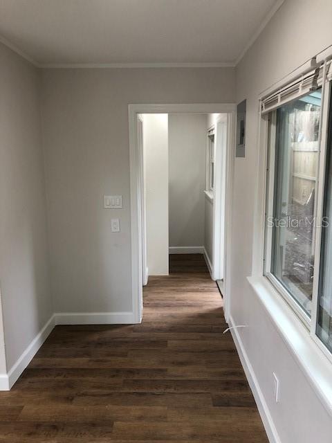 408 HOLT AVE, WINTER PARK, FL — photo 19