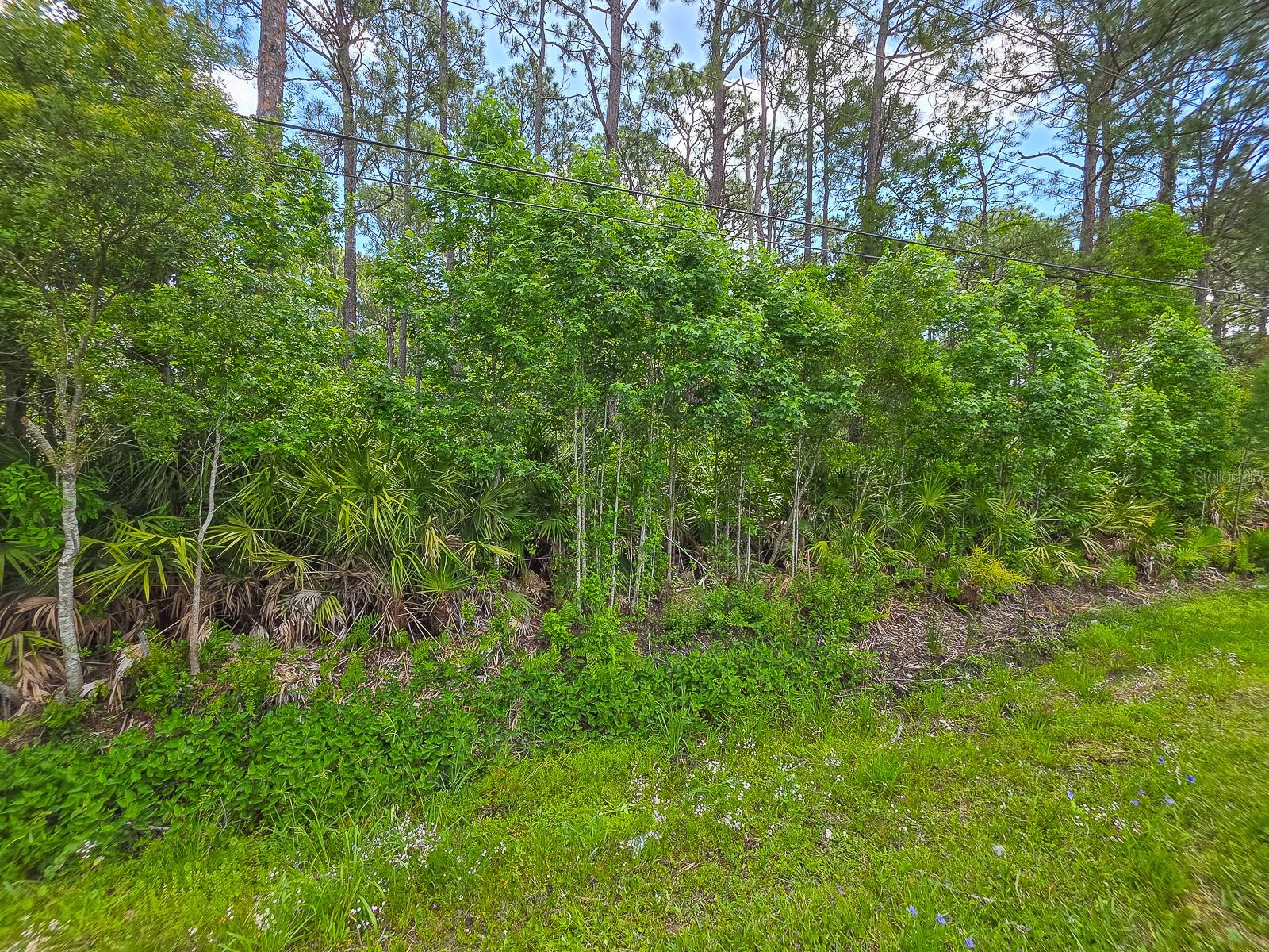 9152 U S HIGHWAY 1, ST AUGUSTINE, FL — photo 4
