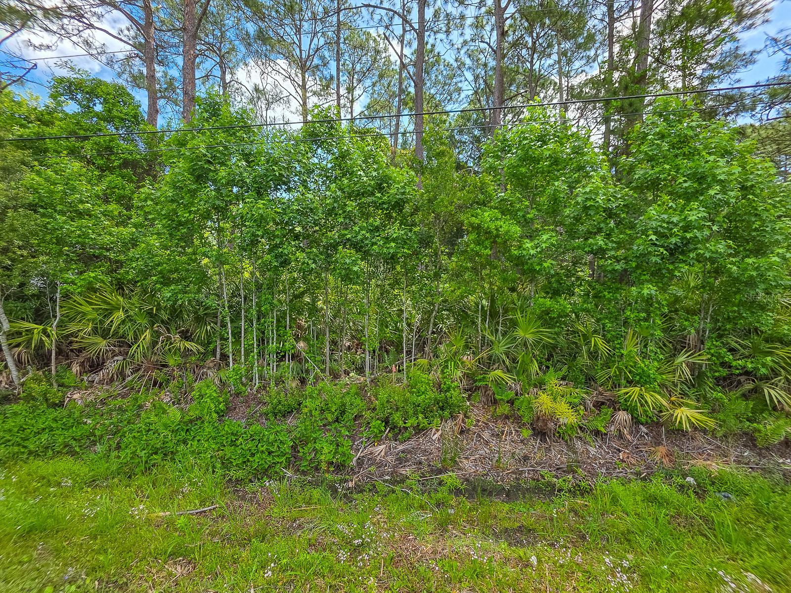 9152 U S HIGHWAY 1, ST AUGUSTINE, FL — photo 5