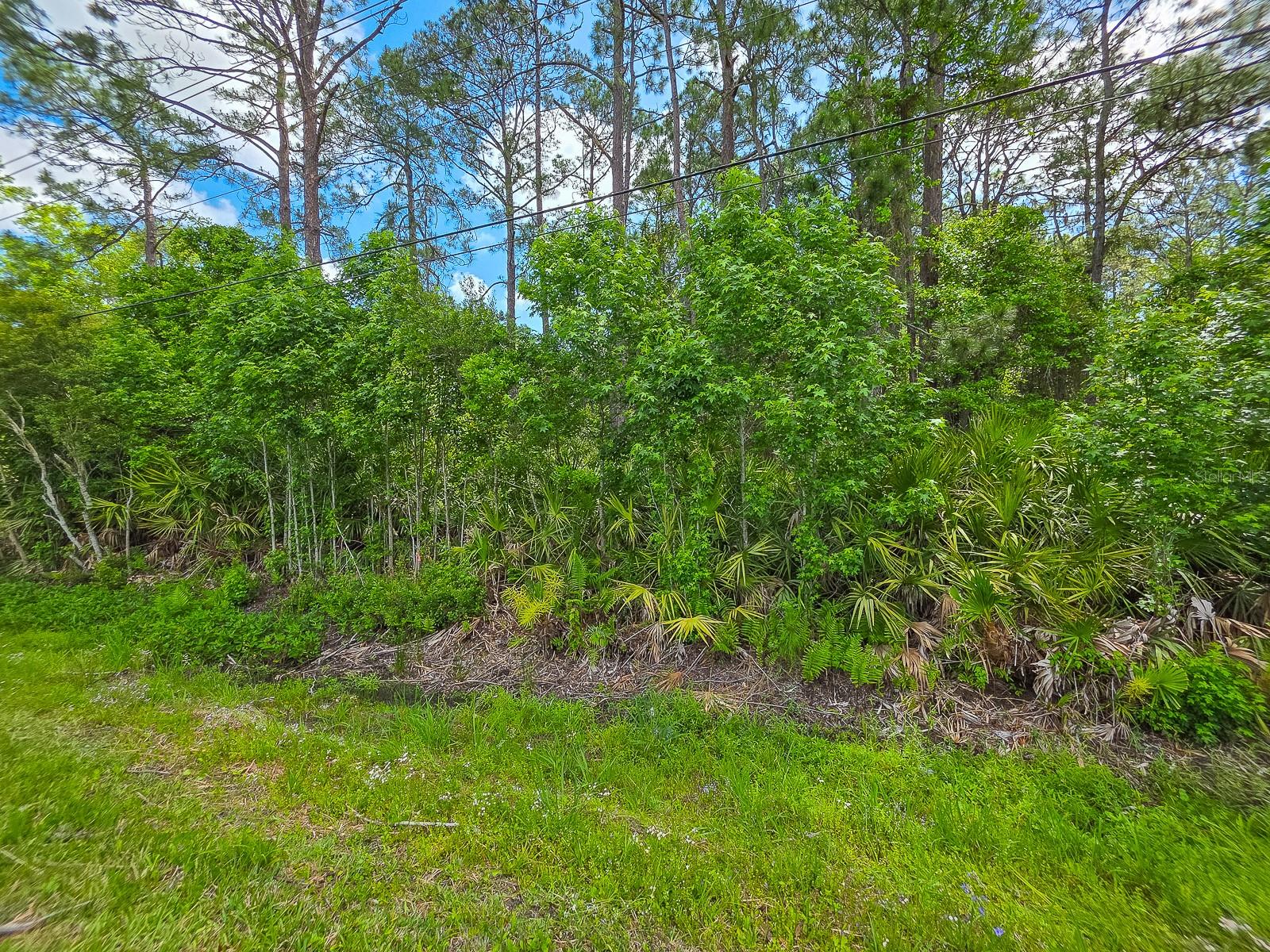 9152 U S HIGHWAY 1, ST AUGUSTINE, FL — photo 6