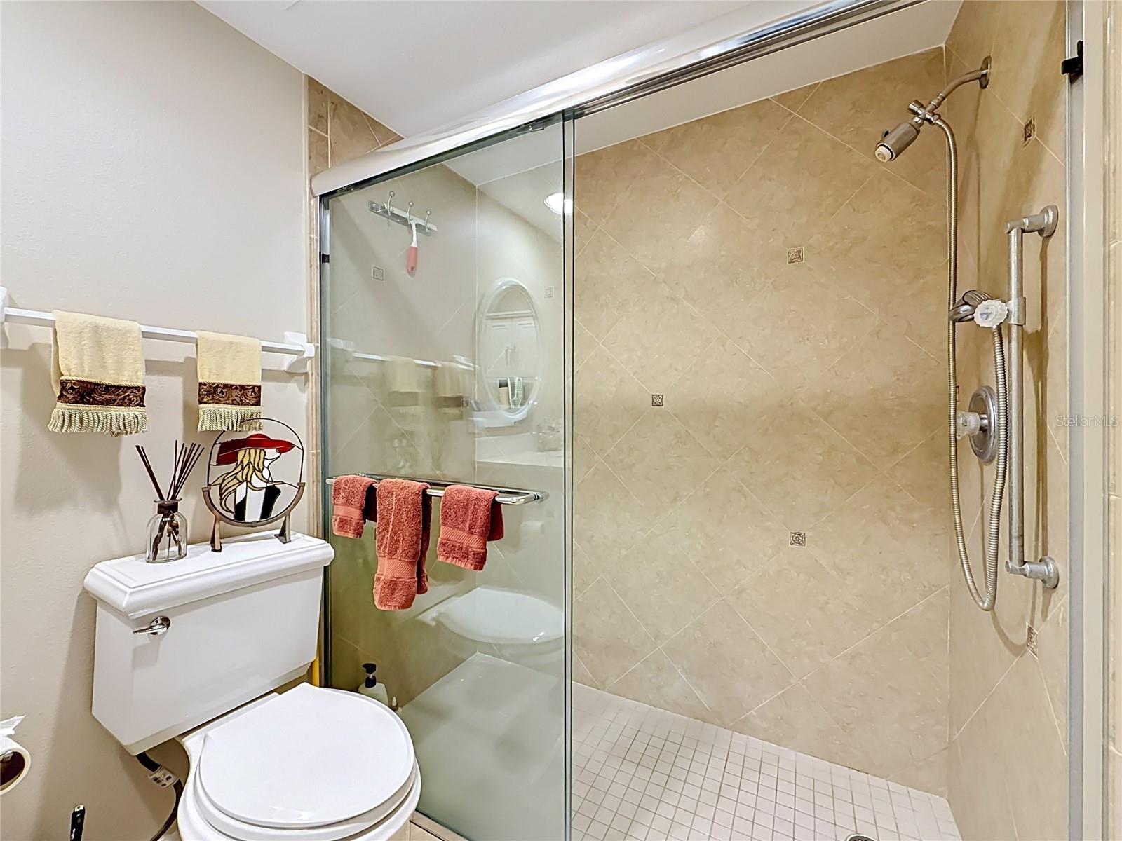 4801 OSPREY DR S #103, ST PETERSBURG, FL — photo 45