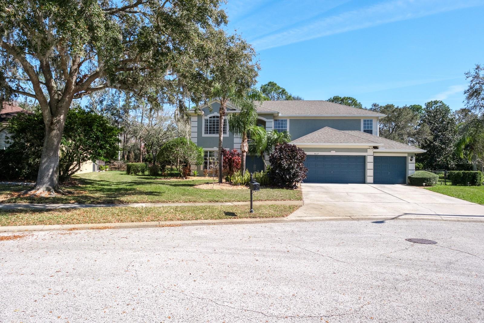 4037 AUSTON WAY, PALM HARBOR, FL
