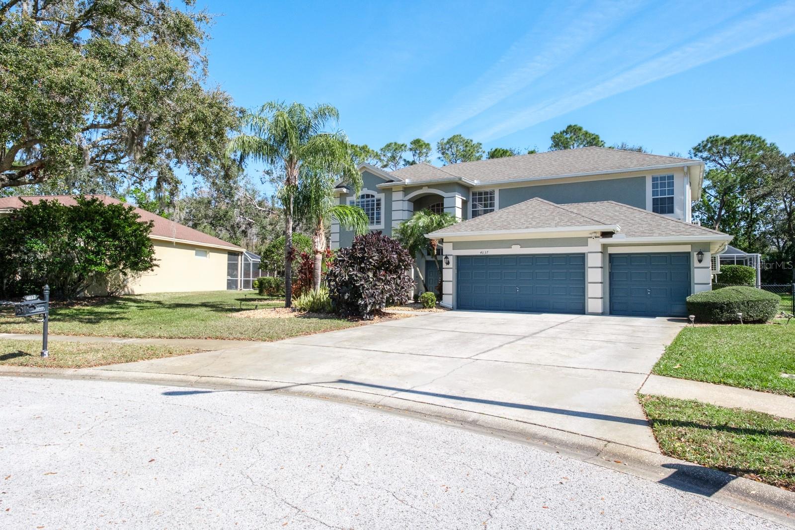 4037 AUSTON WAY, PALM HARBOR, FL — photo 2