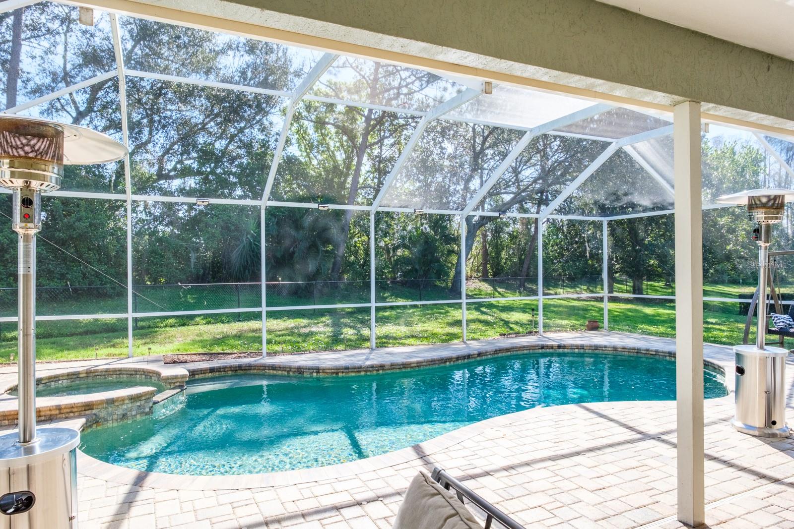 4037 AUSTON WAY, PALM HARBOR, FL — photo 74