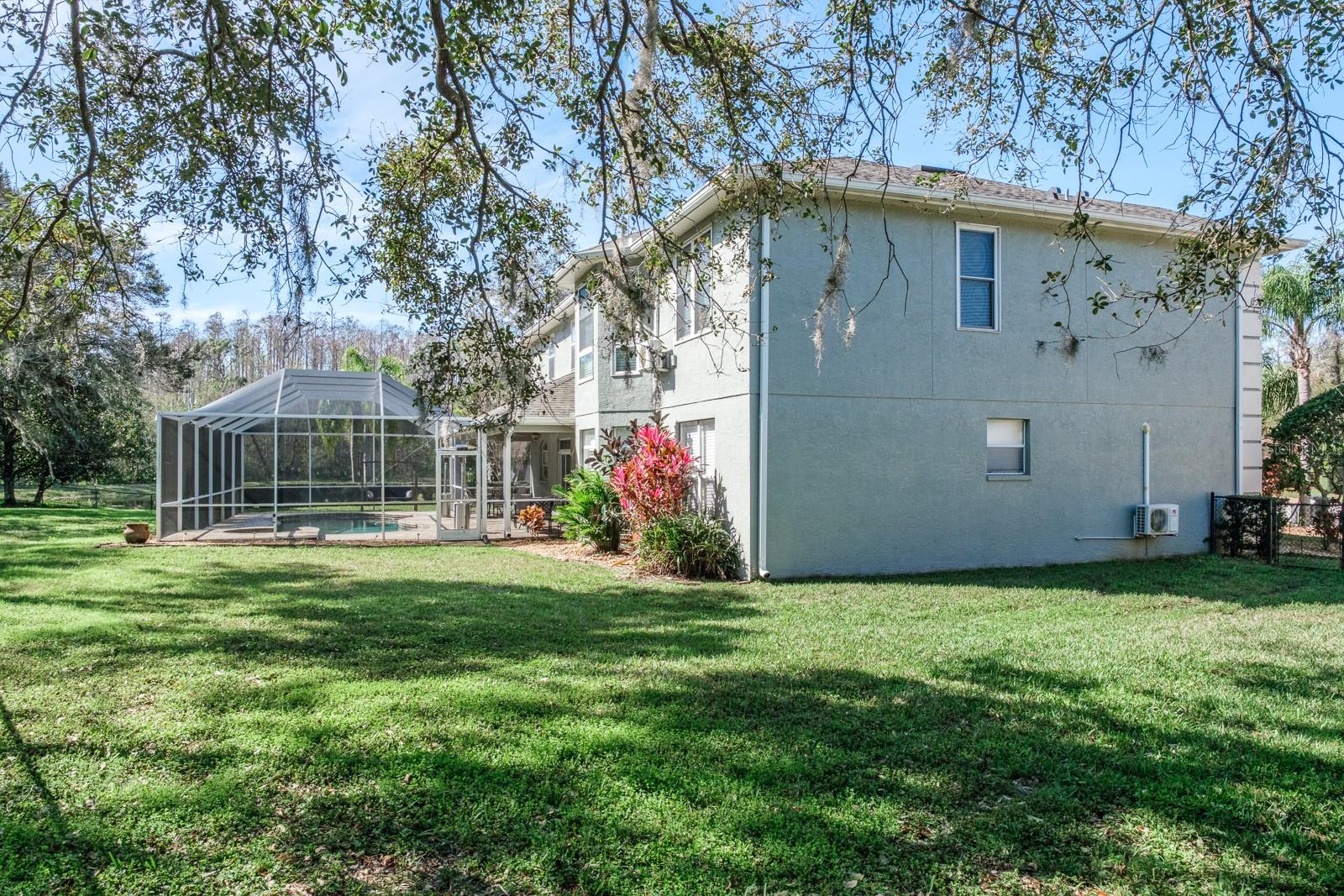 4037 AUSTON WAY, PALM HARBOR, FL — photo 77