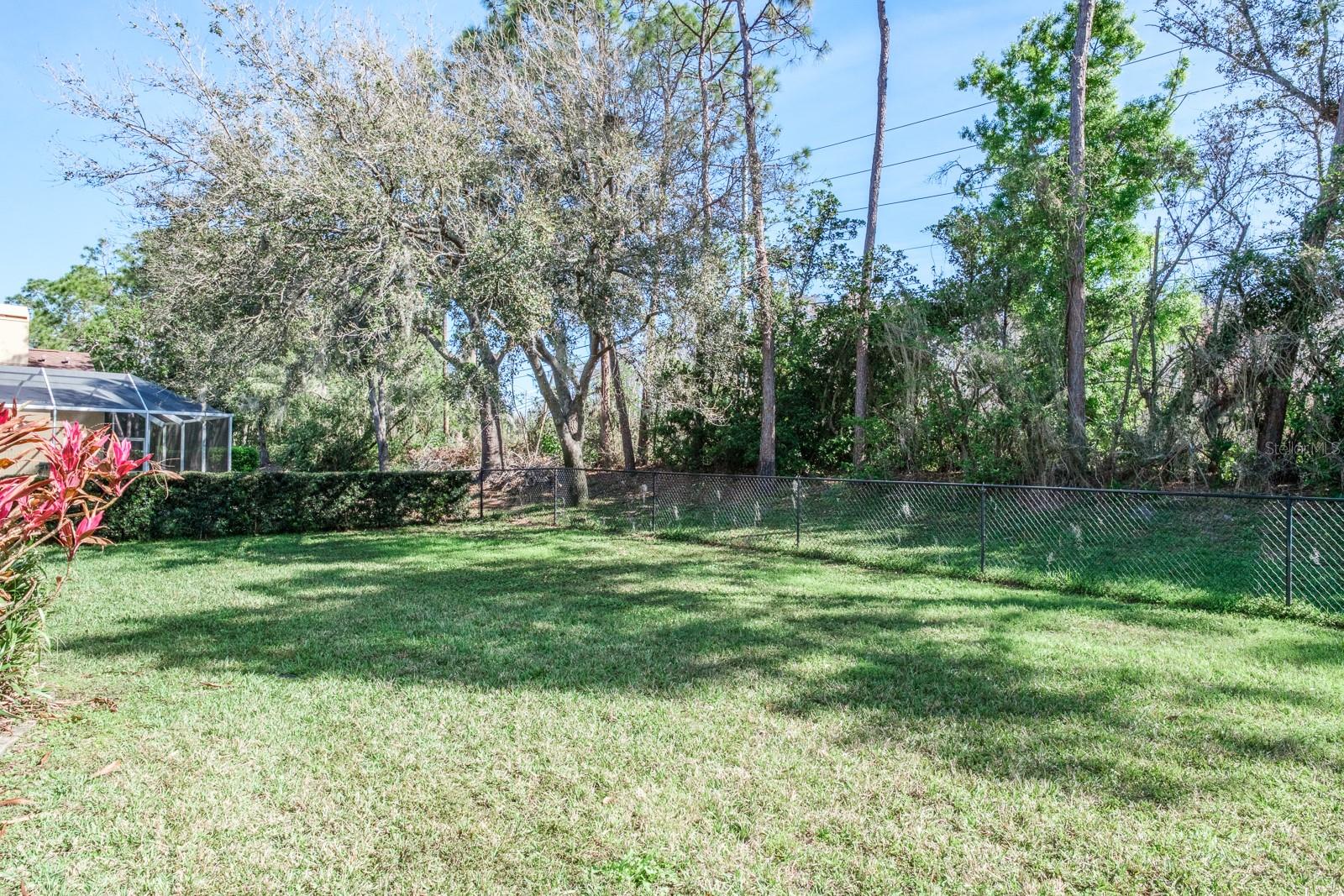 4037 AUSTON WAY, PALM HARBOR, FL — photo 84