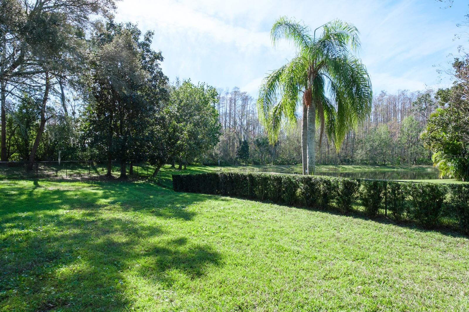 4037 AUSTON WAY, PALM HARBOR, FL — photo 87