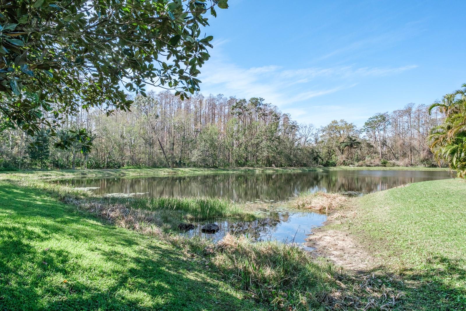 4037 AUSTON WAY, PALM HARBOR, FL — photo 89