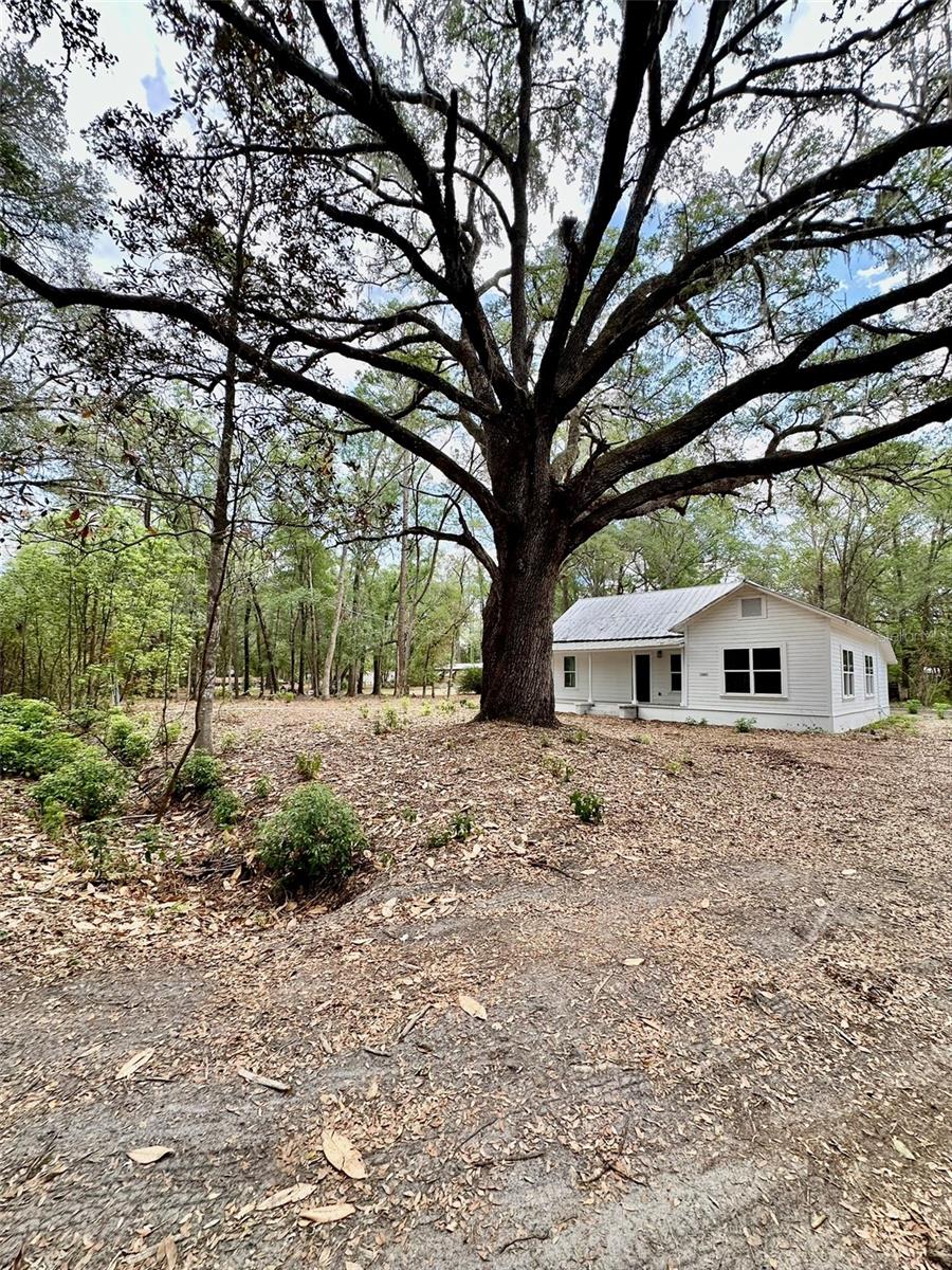 13647 NE 141ST DR, WALDO, FL — photo 4