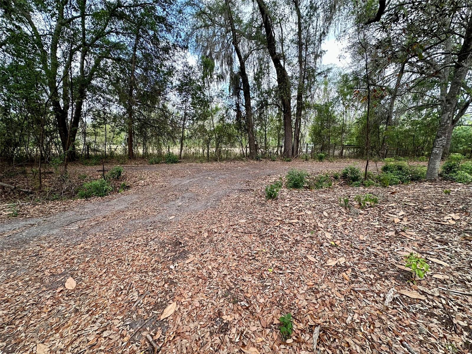 13647 NE 141ST DR, WALDO, FL — photo 6