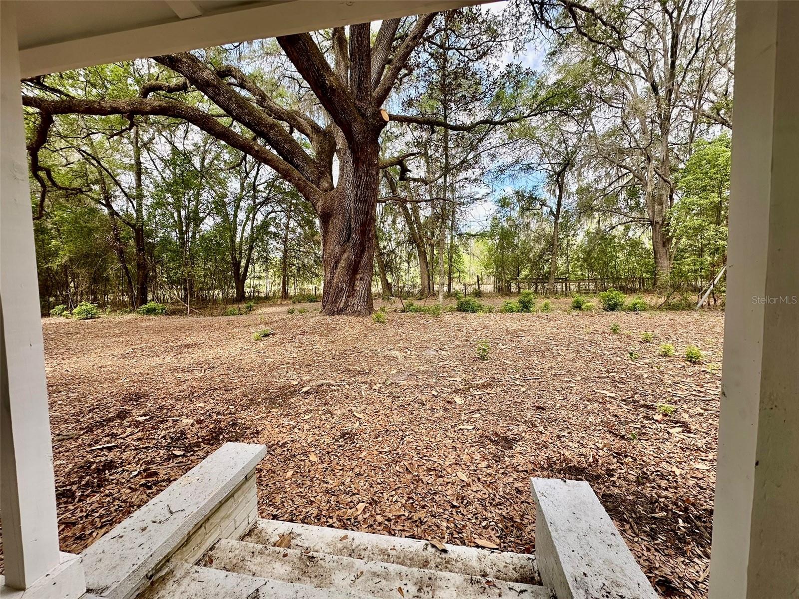 13647 NE 141ST DR, WALDO, FL — photo 2