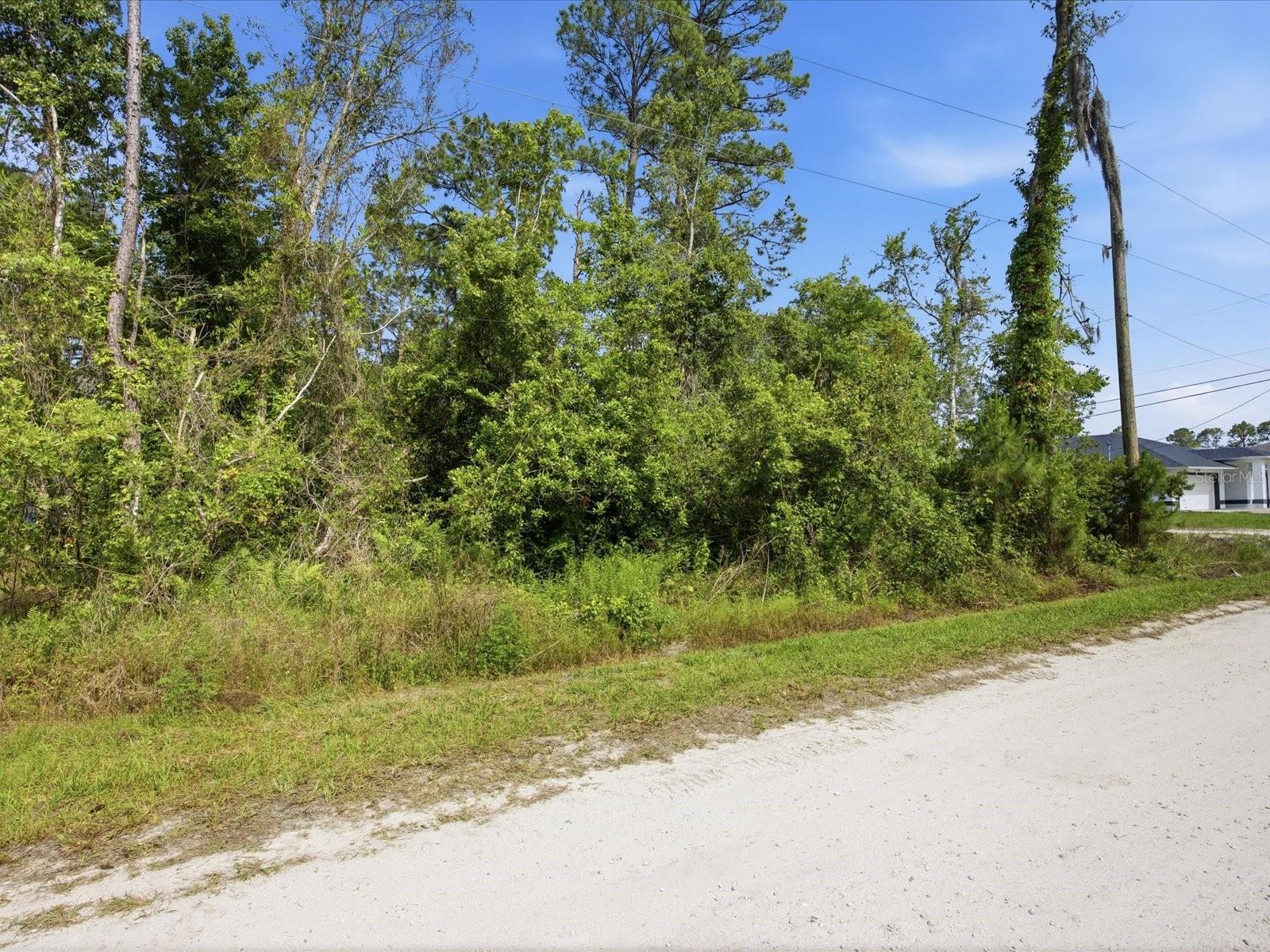 1201 10TH AVE, DELAND, FL — photo 6