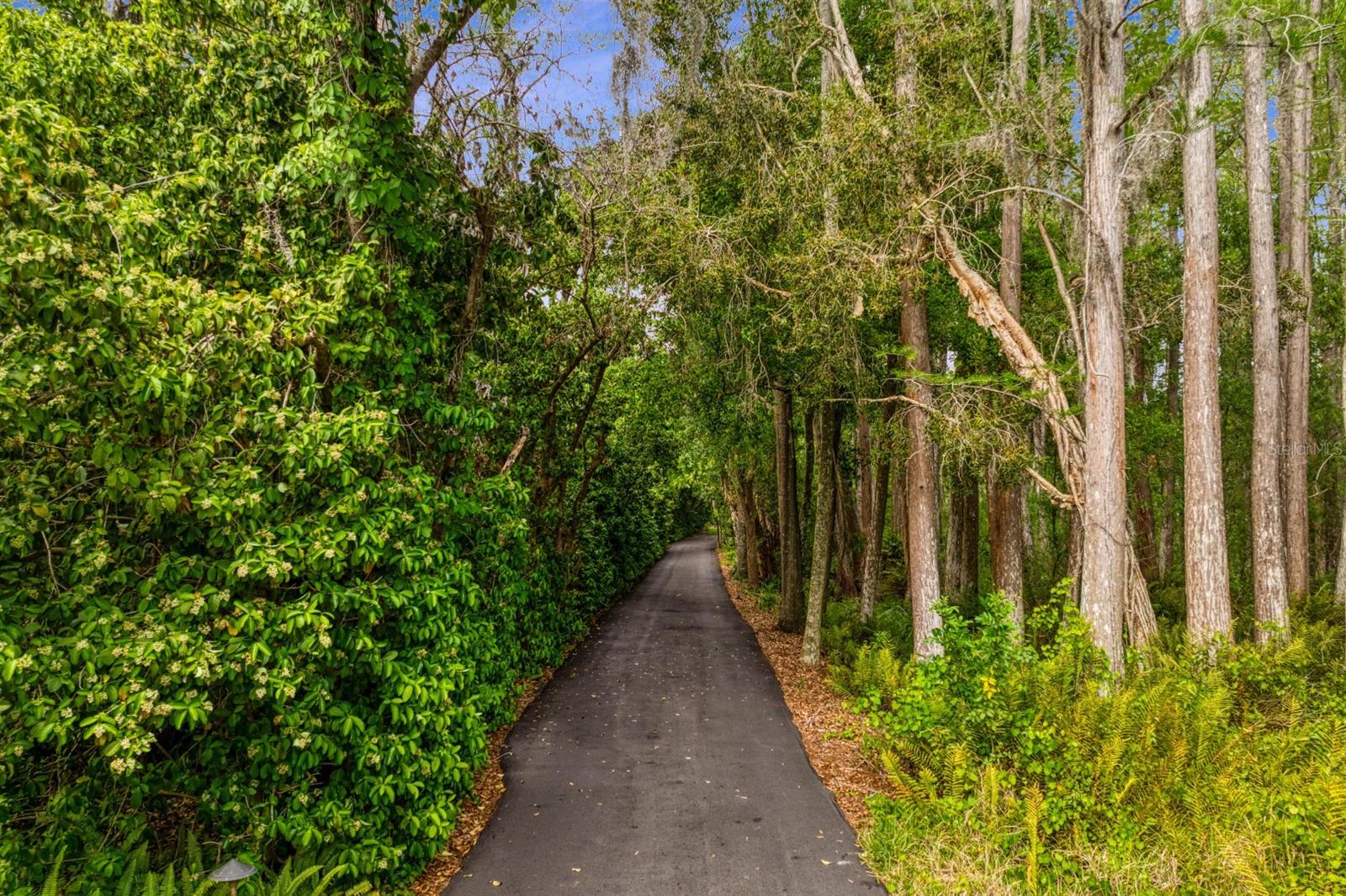 8817 ROBERTS RD, ODESSA, FL — photo 92