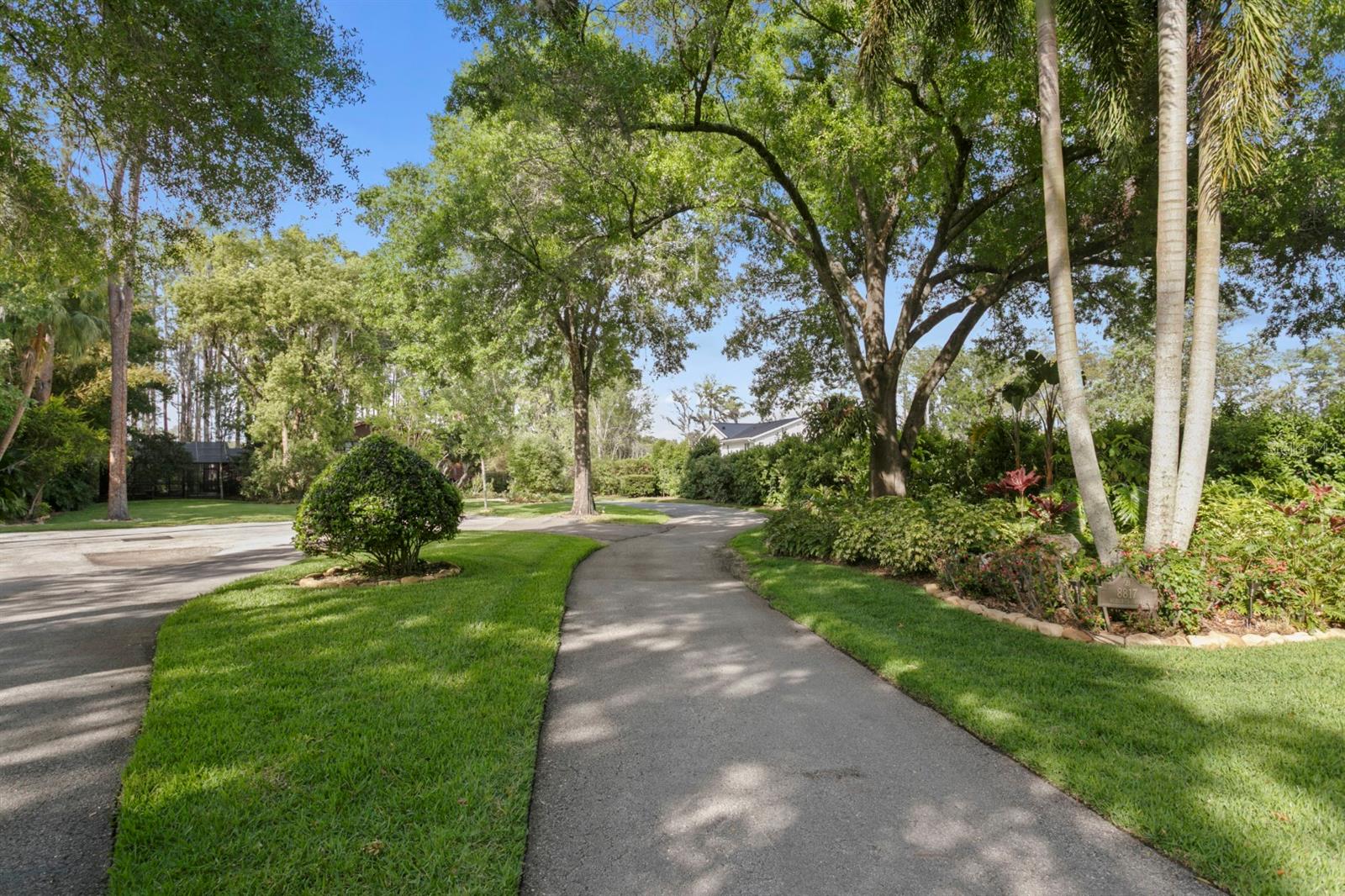 8817 ROBERTS RD, ODESSA, FL — photo 93