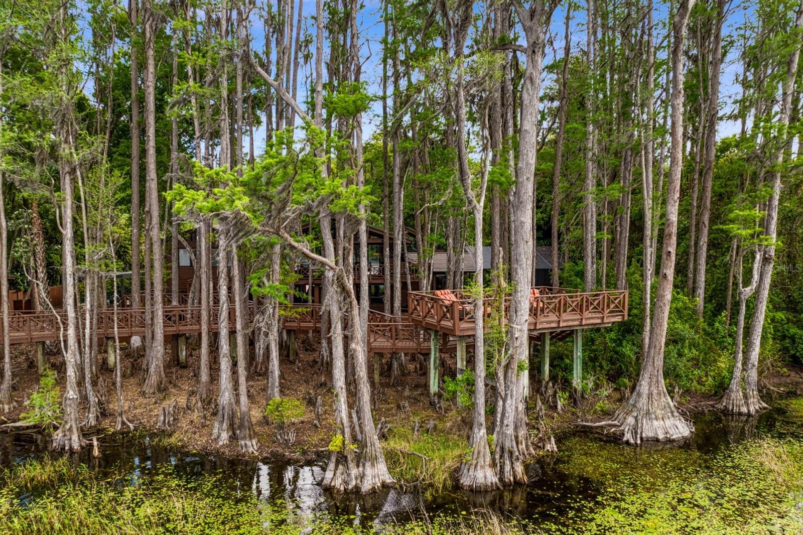 8817 ROBERTS RD, ODESSA, FL — photo 100