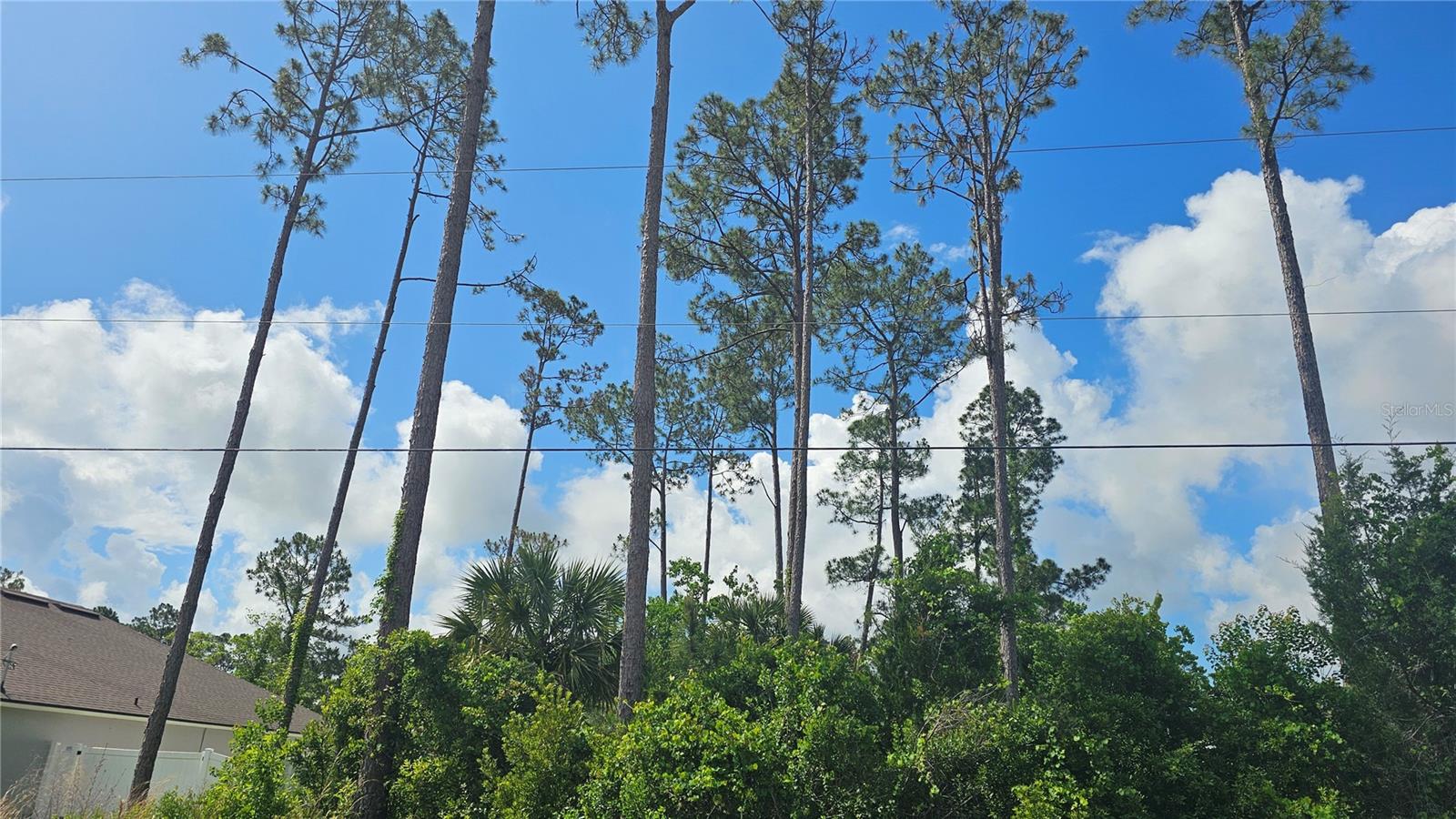 13 ROBIN HOOD LN, PALM COAST, FL — photo 3