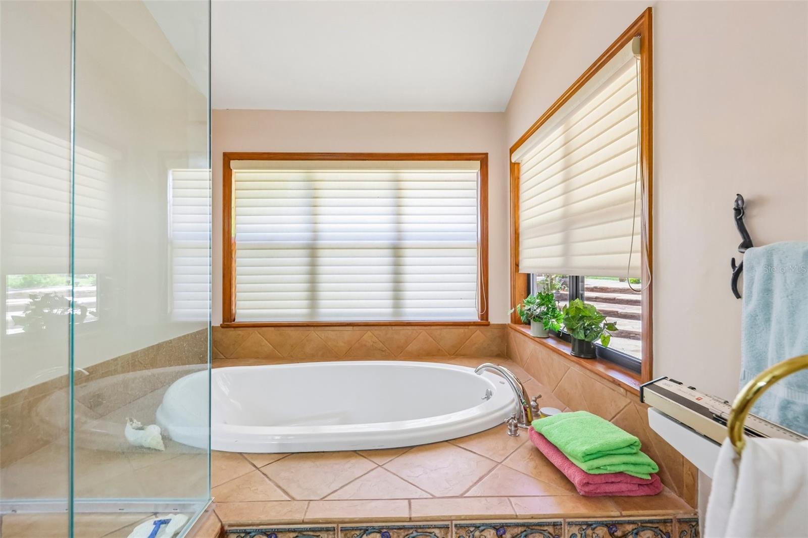 35841 TIMBERTOP LN, FRUITLAND PARK, FL — photo 82