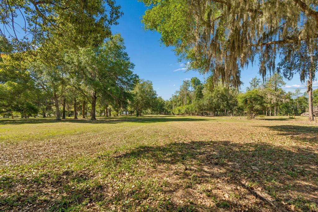 31501 REED RD, DADE CITY, FL — photo 4