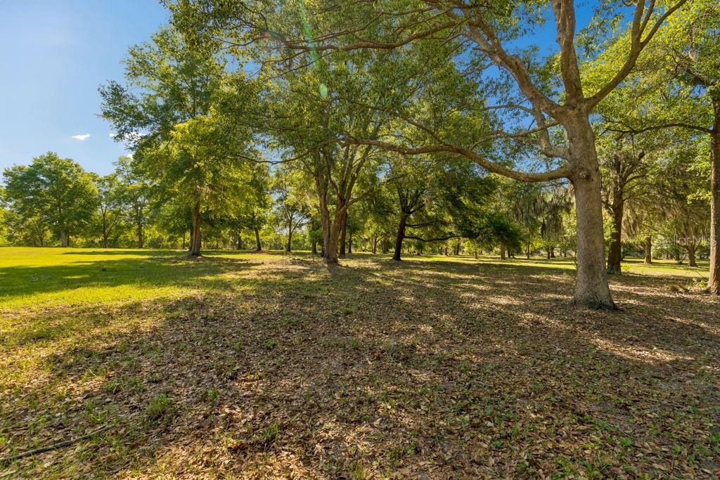 31501 REED RD, DADE CITY, FL — photo 5