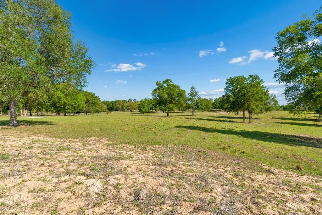 31501 REED RD, DADE CITY, FL — photo 10
