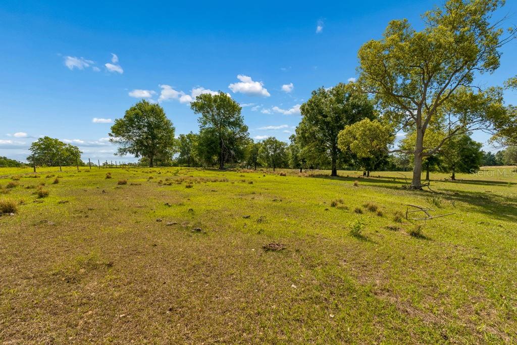 31501 REED RD, DADE CITY, FL — photo 19