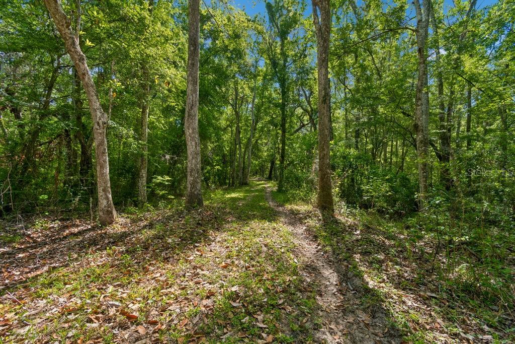 31501 REED RD, DADE CITY, FL — photo 23